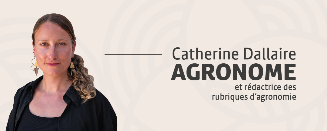 Catherine Dallaire, Agronome